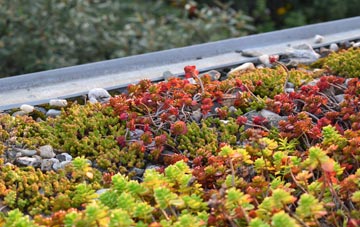 the cost of Out Rawcliffe green roof installation