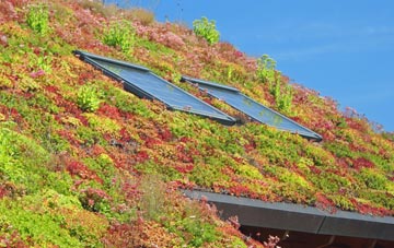Out Rawcliffe living roof systems